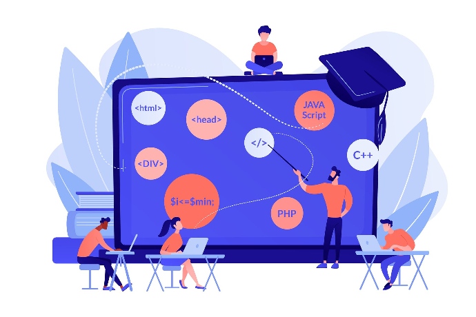 Illustration développeur web